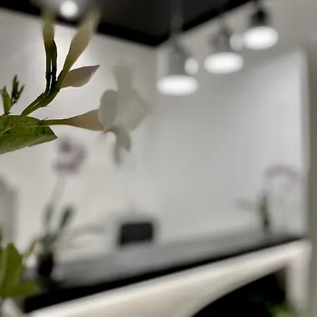 Konukevi Residenza Jerocades Parghelia