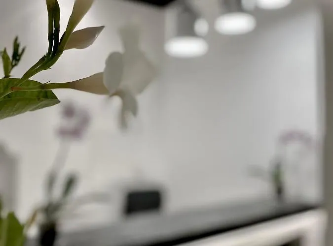 בית הארחה Residenza Jerocades פרגליה